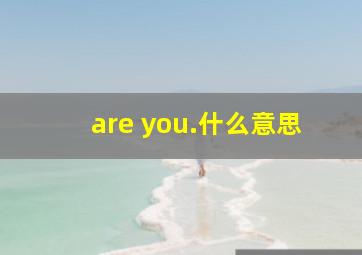 are you.什么意思